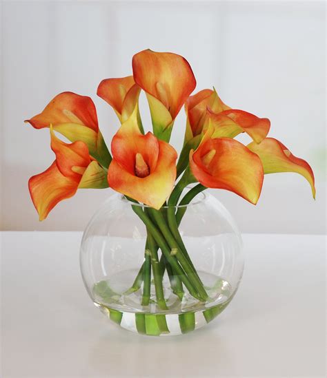 Orange Calla Lilies Gifts